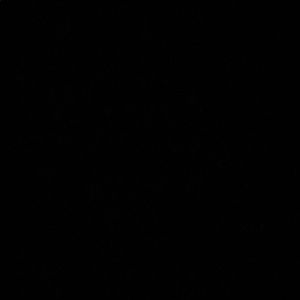 Meet your Posher, June